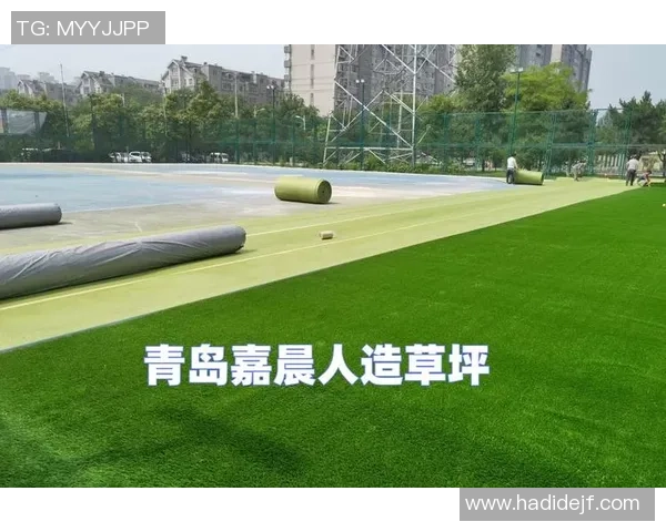 足球草坪地毯的选择与维护技巧助你打造完美运动场地