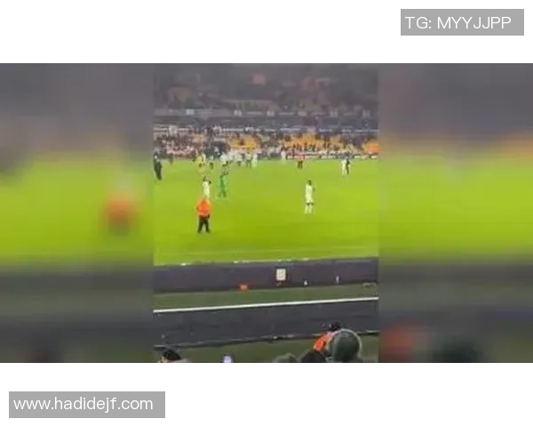 足球探鸟：揭示绿茵场上那些不为人知的精彩瞬间与背后故事