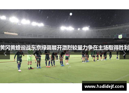 黄冈黄蜂迎战东京绿茵展开激烈较量力争在主场取得胜利